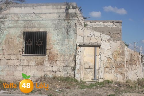 kaniswa7akhadra2 (5).JPG